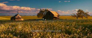 eda673cf2f36551c03cdf80f9be4e5fc.png