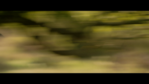09dd60dfbd84ae3d70d140ad0e9040a8.png