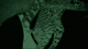 630d29581b35e6de34764e1881b14724.png