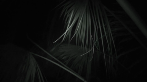 6c26cd7a3dc8287b67cecd8189a27c35.png