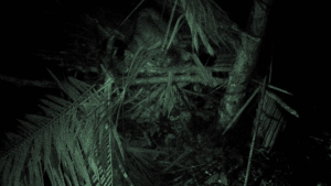 a1f5adcaf546c0b07bbcc5be88443aa0.png