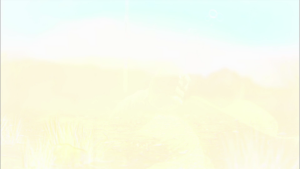 b0b3eea06a9c62f8d6be6c8b8fc24e77.png