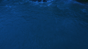a04c8ceefde39dd092365e4f8bb04b1d.png