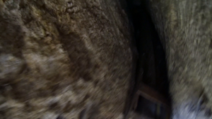 ca4179ffec5e27c4cb6b91742e06ea87.png