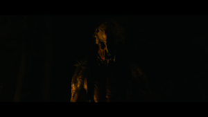 edf59d0bb8166f948b60390adce1c515.png