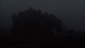 c08e6958da846aa7a4604431491aa351.png