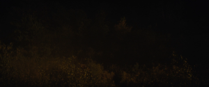 47eeca9a9d6a73a674337b5db401d320.png