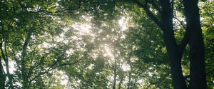 866b18e43bd08c9a52bfbc9cf0105d73.png