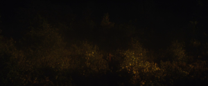 b679ad5a733fd435b30ebc00cf07b7ae.png