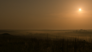 26b186b89a2ee4ab0b372c75a43db97c.png