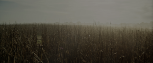 bd7f8287f275d875da051bf1c84481f9.png