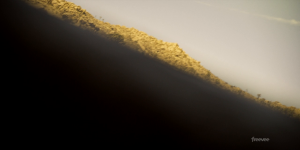 7e8ff913e9d1495d6b66c40d96c051f4.png