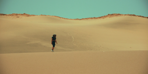 b82067a0c471a0b21936de9e046cbfb8.png