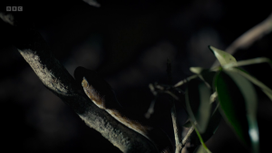 52dcd1461d43e1ce917a11c37aaa4da4.png