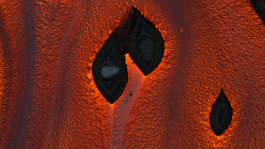 059d8685804a780dc1ce8a39bb512076.png