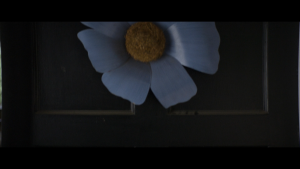 b0469dba18efe51c16a13f3113d138c6.png