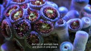 16c85203d955f30527927b385eb03701.png