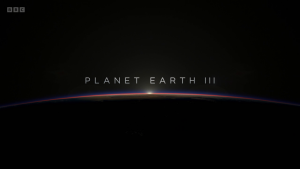 a60c4220bc6a5f28b4b67439c5076542.png