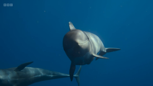 e15acdcd59b7750b03ab4d1ae4e39f06.png