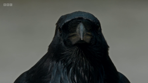 4475e039d7781f03b0f1ff045468991b.png