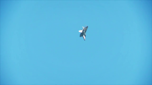 90742445d69d5fbfc3ae51495e2b962d.png