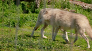a529e1a8926f2f976d574b7481683f5e.png