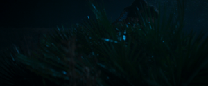 5125332ceb348d415de8a1122f05008a.png