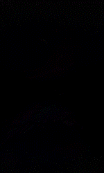 96f777e955293c8037d527b258e822bb.gif