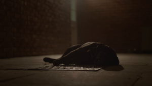 ab7e4bd4de123ae3bc67a7e926721e97.png
