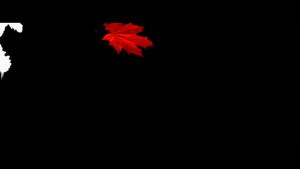 c75460d3d227d621c4fd98649d8d316c.png