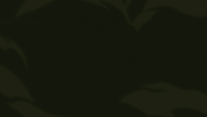 dd53f5feaa861dd56d18cf2487f7a80d.png