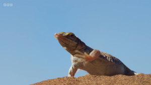 93c2553bd0468c5f46d4f86fcb6a6426.png
