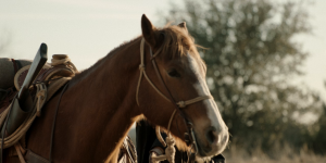 d006873351b11b2f53dda787a8440e8d.png