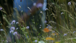 d187a219c0b1447014399dee0cf0d495.png