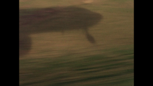 2b7b8459e324477099b0d40a131569fd.png