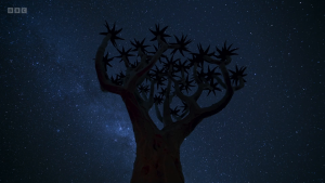 371a8e4b2971f520c044aa32c2022dc8.png