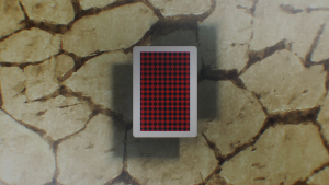 7908627aff35f0f1a19679013102f77d.png