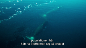 d374689ecd33d95d6a5e9726c0441bcb.png