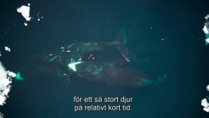 ee4ec8f303f3dfa4126714235a08cd15.png