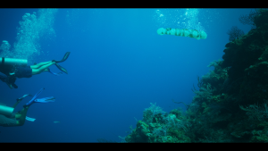 7a4a114a0e517176ef56ddda75b0b428.png
