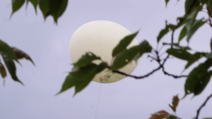 f567b08742028cae42d101871b657f3a.png