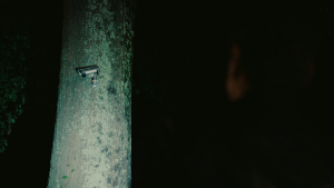 4a30af7c9858c401bf12de16eb4e6f1a.png