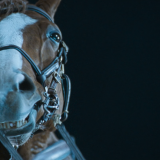 cc84472a92627cd230dd56020898ac08