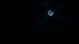 d31d109ef1b11415909278474f29c92c.png
