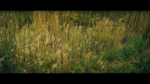 c811f538accb6ccdcea701820febd55e.png