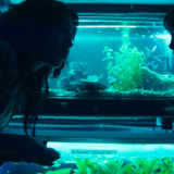 10cc07c18cbcf6cd05f8cf73235df4d9