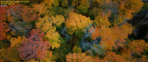 6e2cec56860404d92f9d52fa1898d732.png