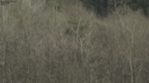 d9483d8788947abee922561b9d6727f5.png