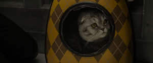 d196a0c326c6edd5dc85a2f05f994b6c.png