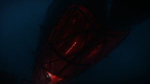 95c9fb13b74361d4bf1b9495d3737f4a.png